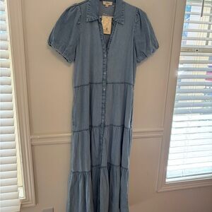 Denim Maxi Dress